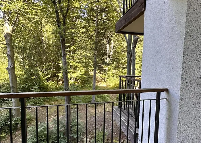 Srodkowa Widok Na 2 Pietro Garaz Gratis Apartamento *