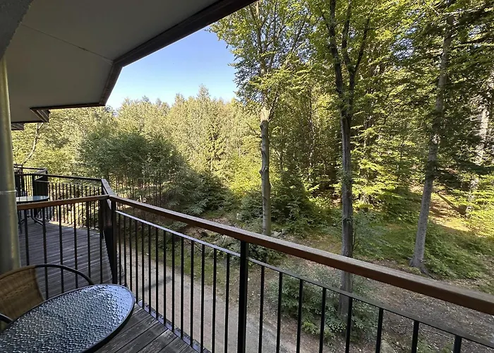 Appartement Srodkowa Widok Na 2 Pietro Garaz Gratis *